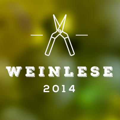 Weinlese 2014