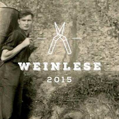 Weinlese 2015